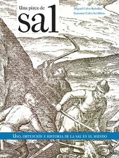 UNA PIZCA DE SAL