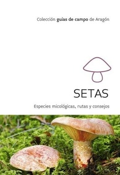 SETAS GUIA DE CAMPO