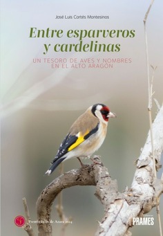 Entre esparveros y cardelinas