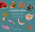 Portada de: CALETA VIVA GUIA DE LA FAUNA Y FLORA DE LA CALETA